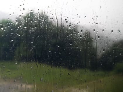 Прохладная и дождливая погода ожидается в Ленобласти 2 июля
