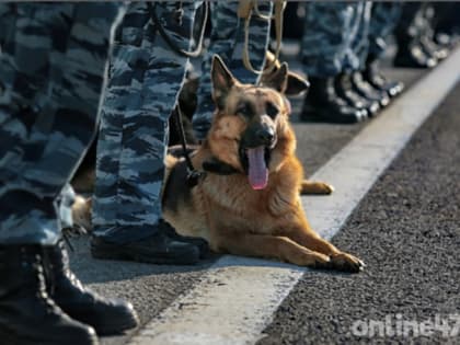 Женщина вонзила нож в мигранта во время ссоры под Всеволожском