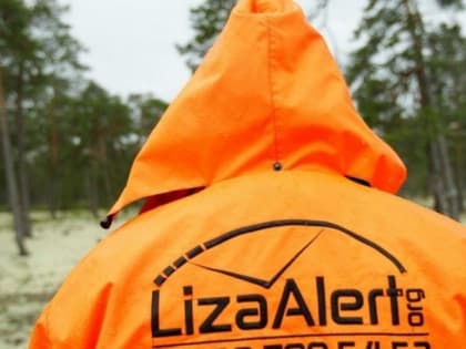 Каждая шестая заявка – о пропаже ребенка: в «ЛизаАлерт» подвели итоги июля