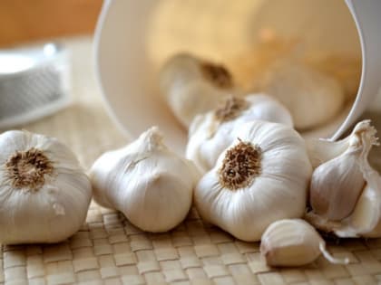 Диетолог рассказала, кому необходимо полностью отказаться от чеснока