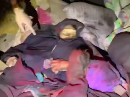 СК России расследуют убийство мирных жителей в освобожденном селе Курской области