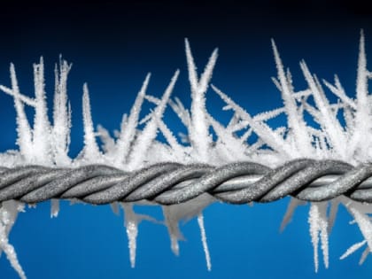 В Калининграде освободили американца, задержанного в 2022 году