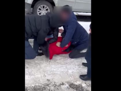 Как задерживали строительного зампреда Шалыгина. В красном пуховике и в придорожный сугроб (видео)