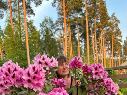 В Ленобласти к воскресенью потеплеет до +26