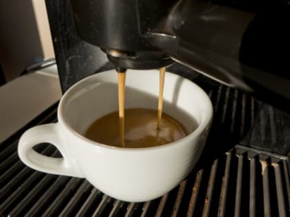 Участок на тещу, кофеварка, тракторист-чистюля. И другие взятки в новом деле о махинации с землей в Ленобласти    