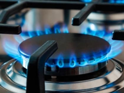 В Ленобласти заключено больше 30 тысяч договоров на догазификацию