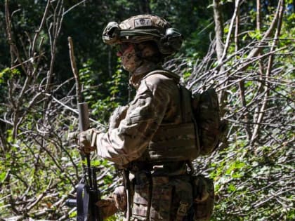 Российские силы остановили пять бригад ВСУ в Курской области