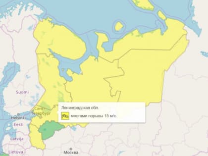 В Ленобласти объявлено новое предупреждение о сильном ветре