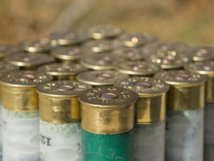 Запрет на вывоз из России патронов и гильз продлили до конца 2025 года