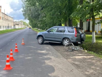 Фото: «Хонда» насмерть сбила пешехода в Шлиссельбурге. Водителя задержали росгвардейцы