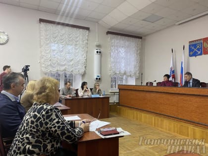 Депутаты Гатчины подвели итоги года