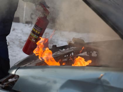 В Вырице сгорел автомобиль