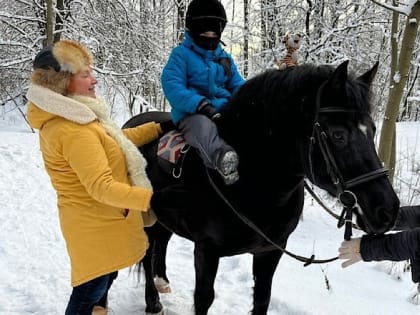 «Лечебные» лошади из Ленобласти выиграли президентский грант