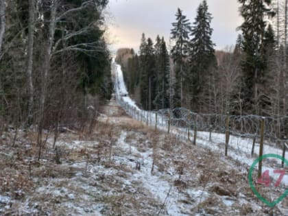 Русскоязычным финнам, которые протестуют против закрытия границ с РФ, стали приходить гневные письма