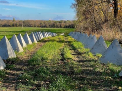 Путин поручил усилить досмотр машин на границе регионов с "желтым" уровнем угрозы терактов