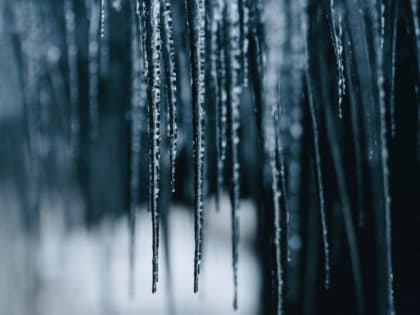 Небольшие дожди с мокрым снегом и до +5 градусов: погода в Ленобласти 28 февраля