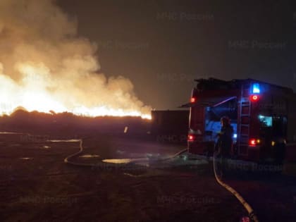 В Сиверском полыхал автосервис на 200 "квадратах"