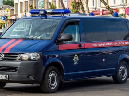 СК РФ поручил регионам представить доклады  о совершении противоправных действий иностранцами