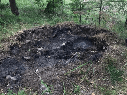 Эконадзор продолжает принимать меры к нарушителям в ООПТ