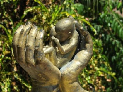 Только по ОМС. В России предложили запретить платные аборты