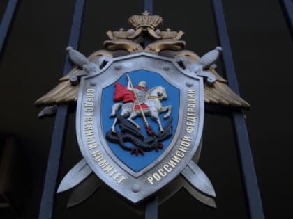 СК Ленобласти: в деле депутата Федичева нашлись скрытые полмиллиарда рублей