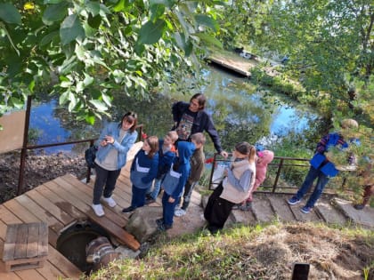 От деревни Сойкино до знаменитого камня «Бизон»: в Пениковском поселении состоялась экскурсия «О чём плачет сойка»