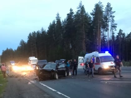 В ДТП на трассе Вологда - Новая Ладога один человек погиб, пострадали шестеро - в том числе, двое детей