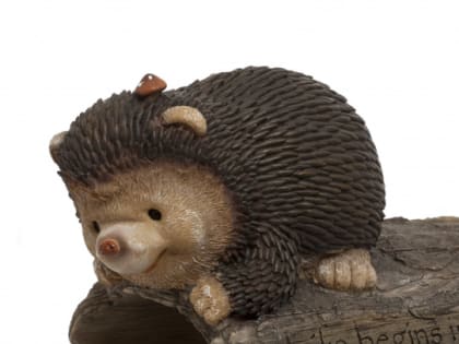 На убийцу ежей в Германии вышли через ДНК