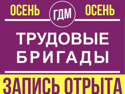 ПРОДОЛЖАЕТСЯ ЗАПИСЬ НА ПОДАЧУ ДОКУМЕНТОВ В ТРУДОВЫЕ БРИГАДЫ