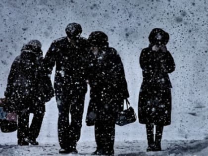 Мокрый снег и порывистый ветер ждут жителей Ленобласти в четверг