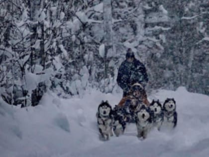 В первый понедельник 2023 года в Ленобласти похолодает до -2