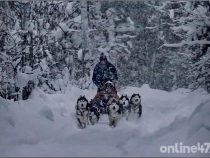 Синоптик Александр Колесов рассказал о самом холодном 17 января в истории Ленобласти
