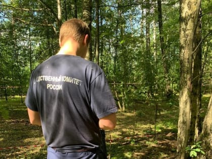 Недалеко от посёлка Ушаки в Тосненском районе нашли останки человека