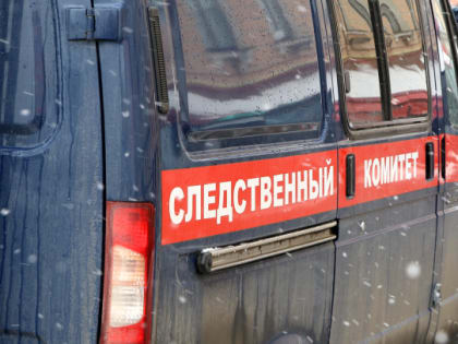 СК раскрыл подробности дела депутата ЗакСа Ленобласти Сидоренко