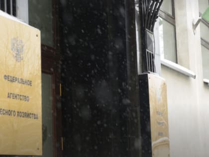 Федор Стулов назначен председателем Комитета по природным ресурсам Ленобласти