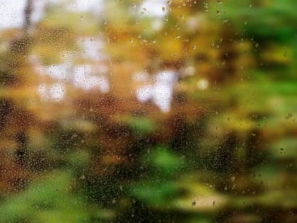 Тепло и дожди: о погоде в Ленобласти 13 сентября