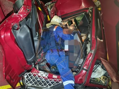 Водитель грузовика разбился насмерть в аварии на платной дороге под Тосно