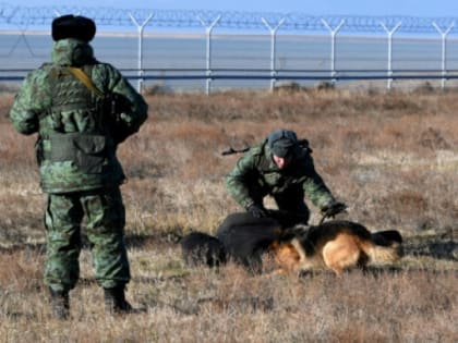 Диверсанты понесли потери и ушли на Украину. Минобороны сообщило подробности инцидента в Брянской области
