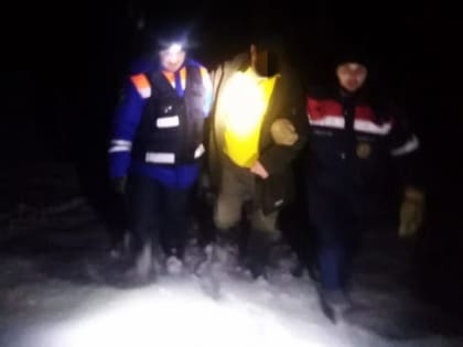 Пенсионер заблудился в лесу у Шамокши. Его спасли за час до Нового года