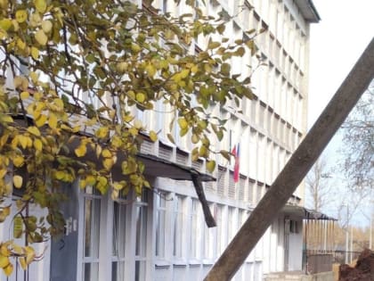 И в школу не пойдем. Под Тосно родители устроили директору забастовку