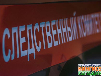 Следователи устанавливают обстоятельства гибели пожилого рыбака в Финском заливе