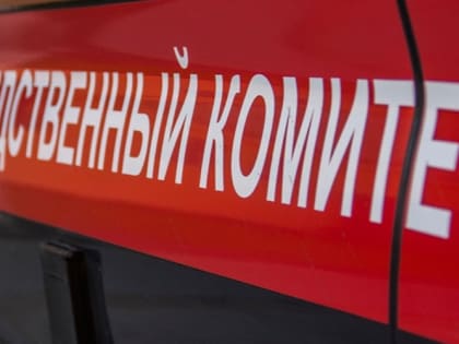 СК Ленобласти разбирается, как детскую площадку в Кингисеппсокм районе возвели на строительном грунте