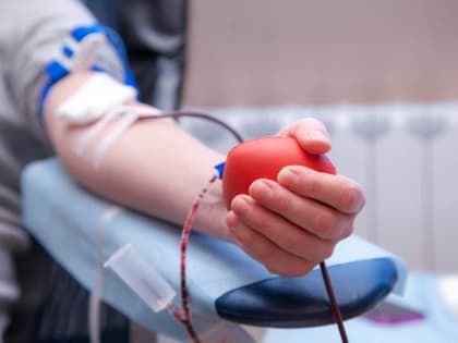 В Вологды нужны доноры всех групп крови