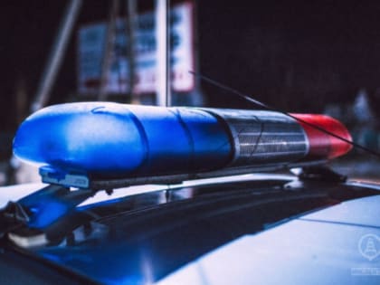 Спасатели вызволяли пострадавшую пассажирку из покореженной иномарки в Шепелево