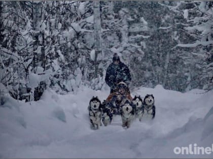 Названы регионы России, которые в феврале ожидают погодные аномалии