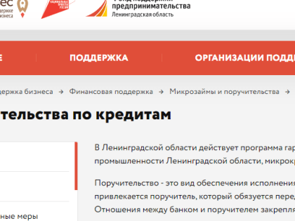 Поручительства государства – опора для малого бизнеса