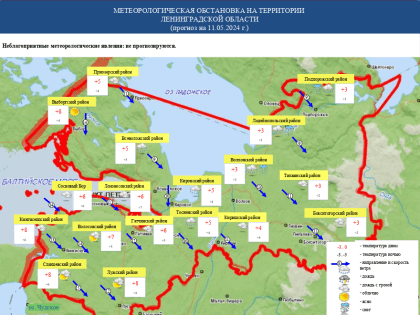 Погода в Ленобласти 11 мая: В субботу ждут до +11 и дождь со снегом