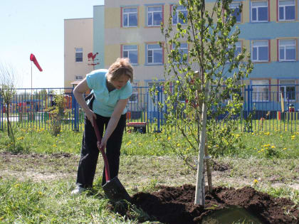 В поселке Новоселье прошла Всероссийская акция «Посади дерево»