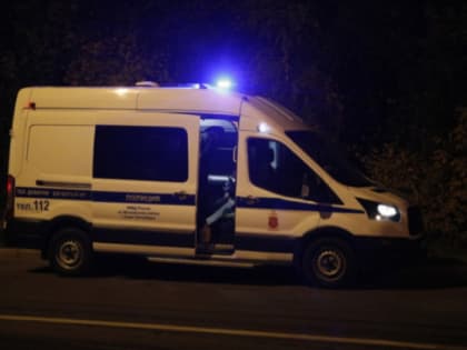 Жителя Каменногорска задержали за убийство мужчины 7 лет назад