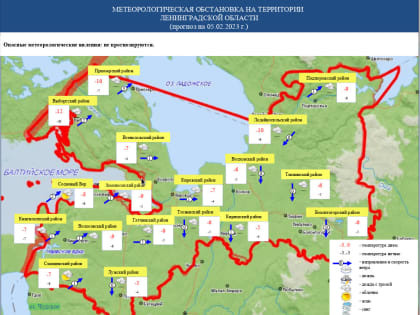 МЧС Ленобласти предупредило о тумане и морозах до -17 градусов в воскресенье